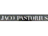 jaco pastorius